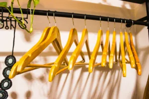 empty hangers inside wardrobe