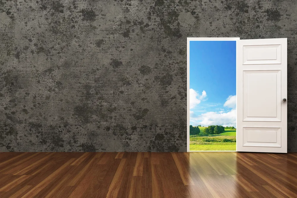 empty room with door looking to bright outside